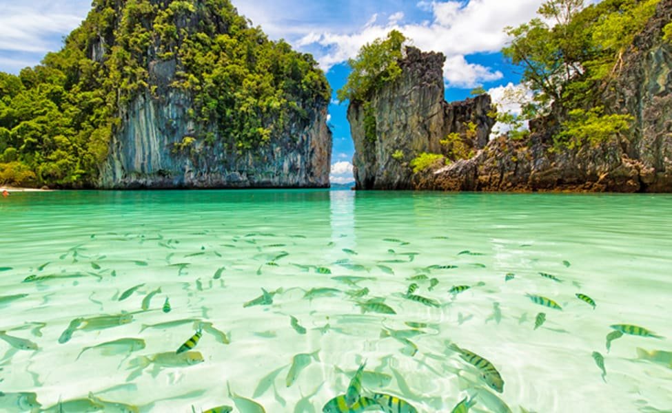 Eternal Andamans: A Honeymoon by the Sea
