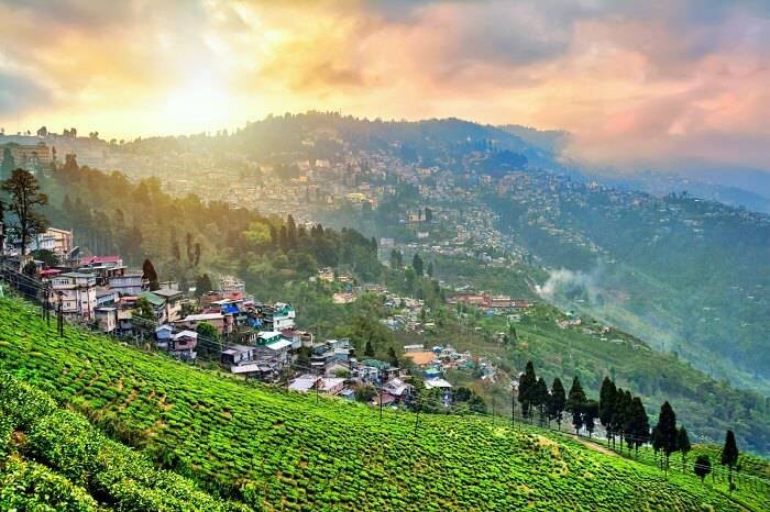 3 Gems of the Himalayas: Darjeeling, Gangtok, Pelling Tour