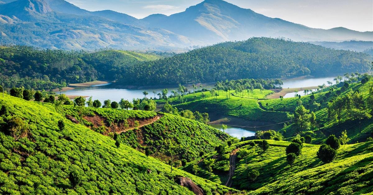 Munnar to Alleppey: A Kerala Escape