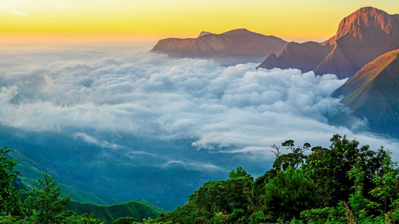 Kerala: Munnar & Alleppey Bliss Tour