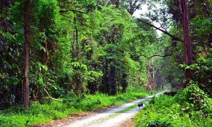 Wildlife Wonders of North East Tour Package 