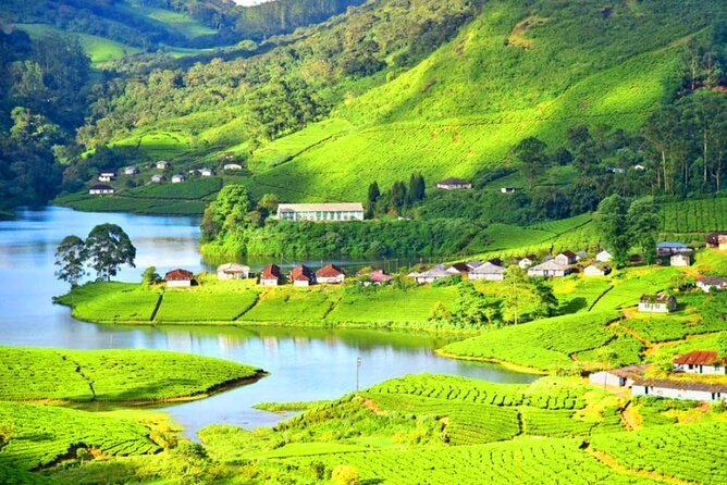 Kerala Delights: From Tea Gardens to Houseboats