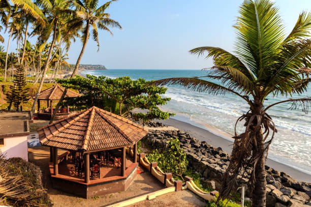 Kerala Panorama: Munnar to Varkala Trail